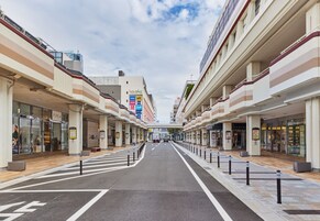 Un centro comercial moderno con amplias pasarelas, un cruce peatonal central y comercios a ambos lados.