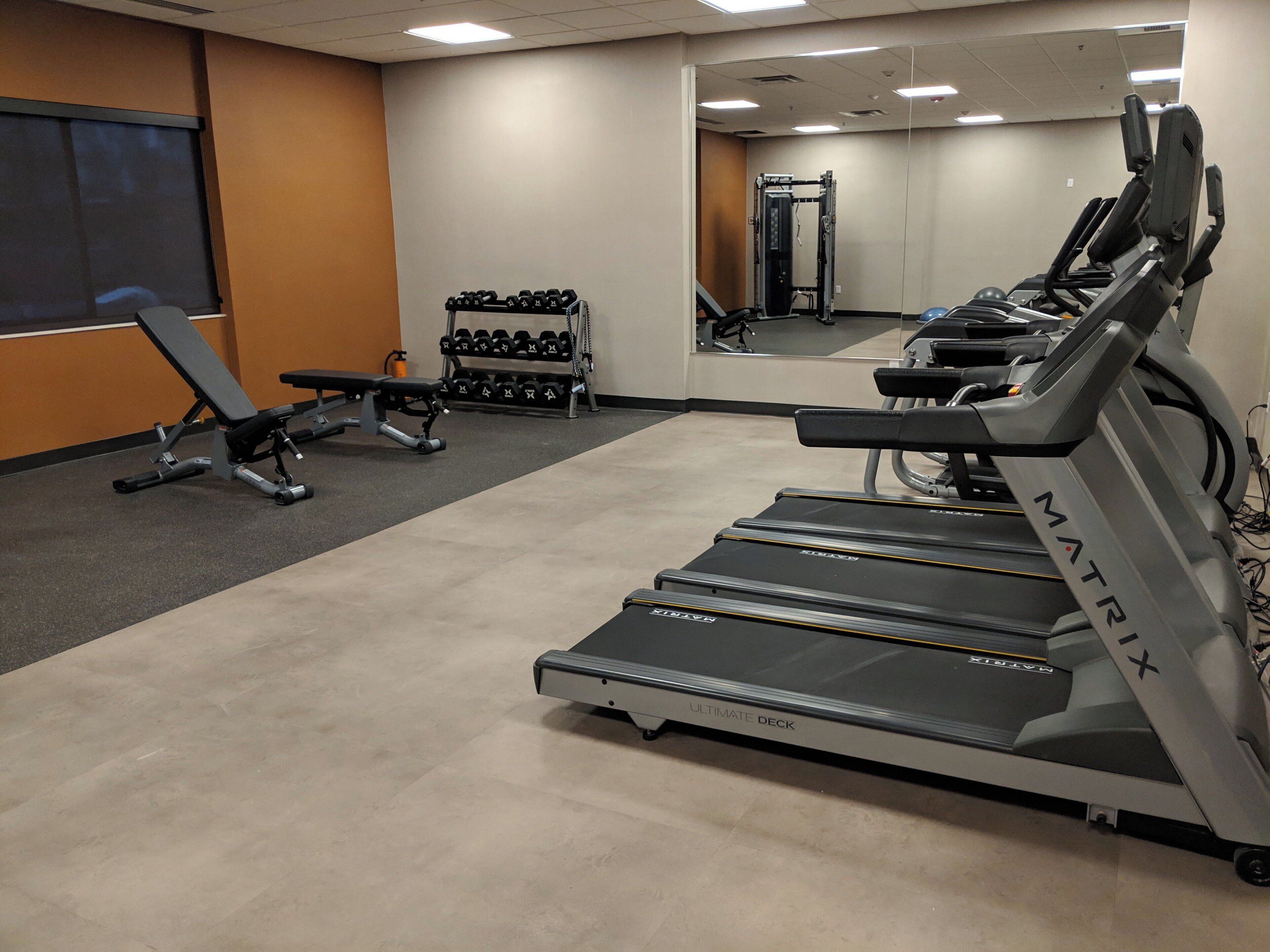Un gimnasio con cintas de correr, mancuernas y bancos de pesas.
