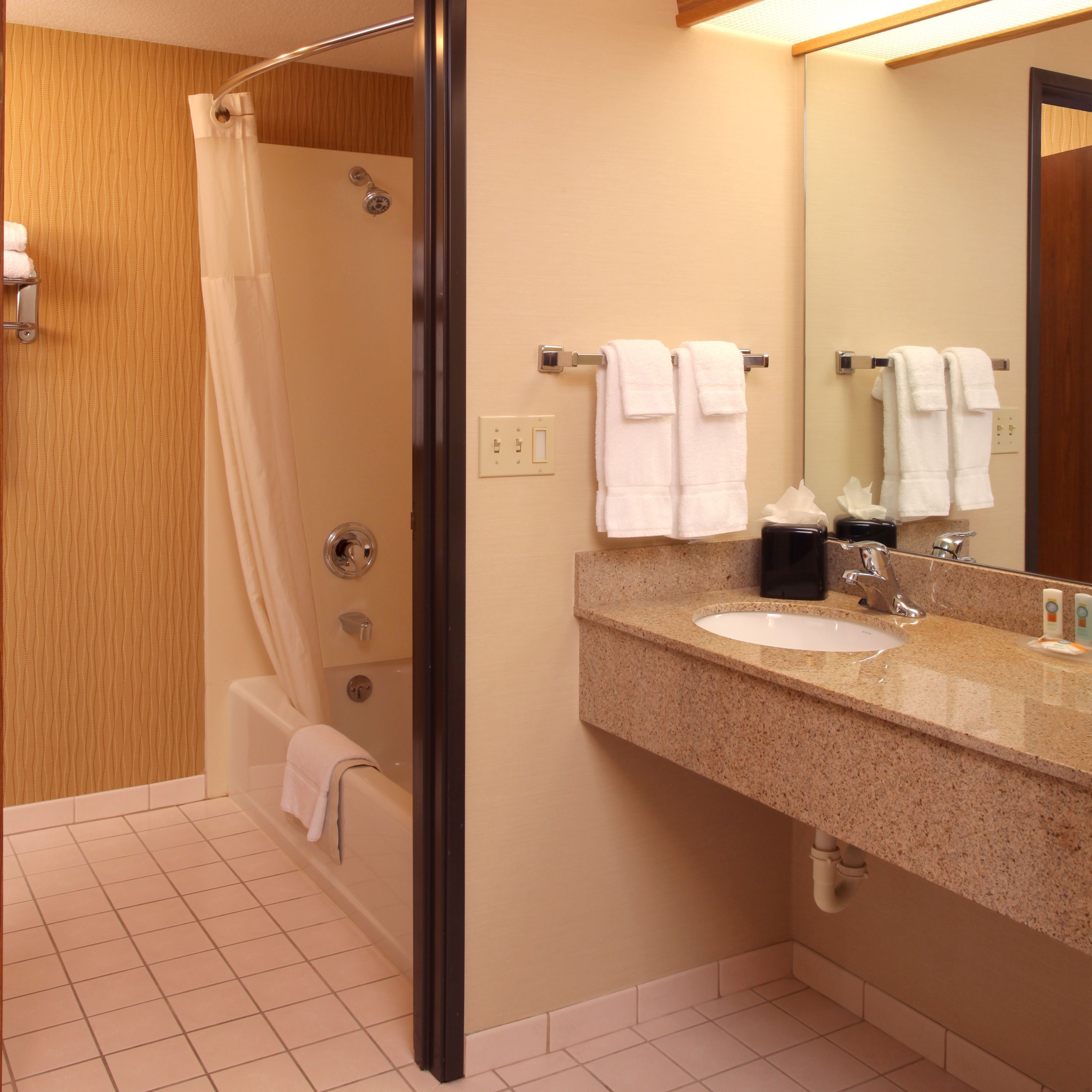 eco-friendly toiletries, hair dryer, towels, soap