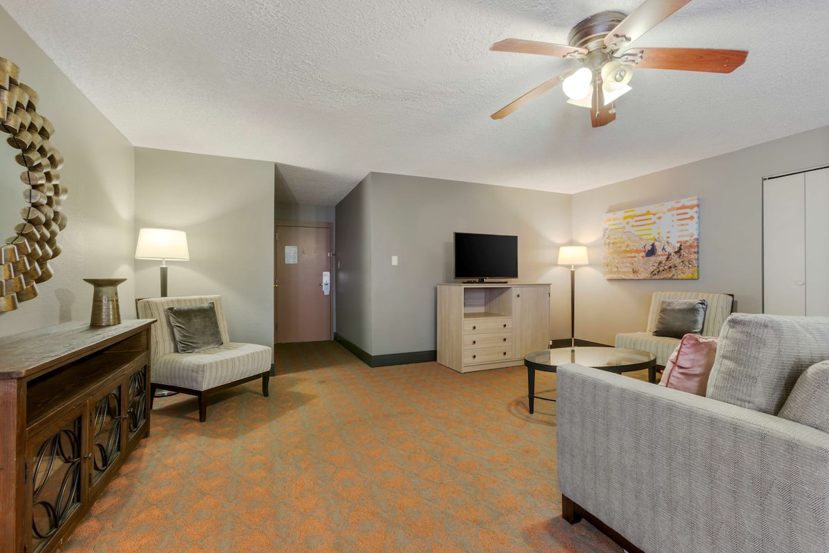 A living room with a ceiling fan, a television on a stand, a sofa, a chair, a lamp, and a patterned carpet.