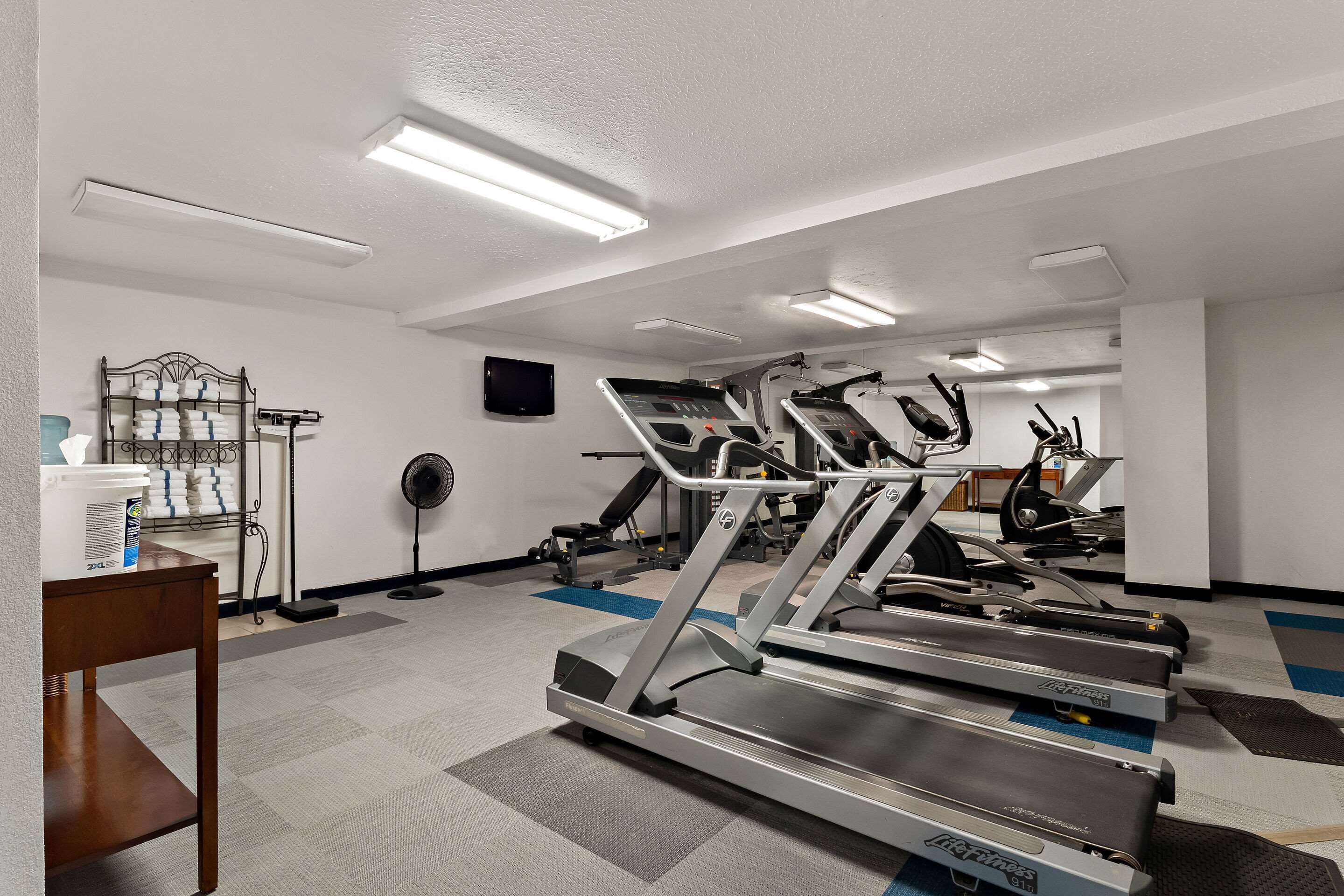 A gym with treadmills, a fan, and exercise equipment.