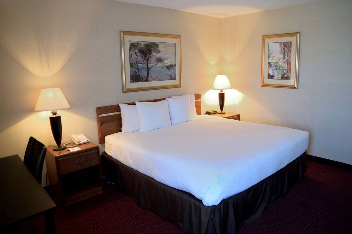 Habitación de hotel con una cama grande, dos lámparas de noche, un escritorio con una silla y dos cuadros en las paredes.