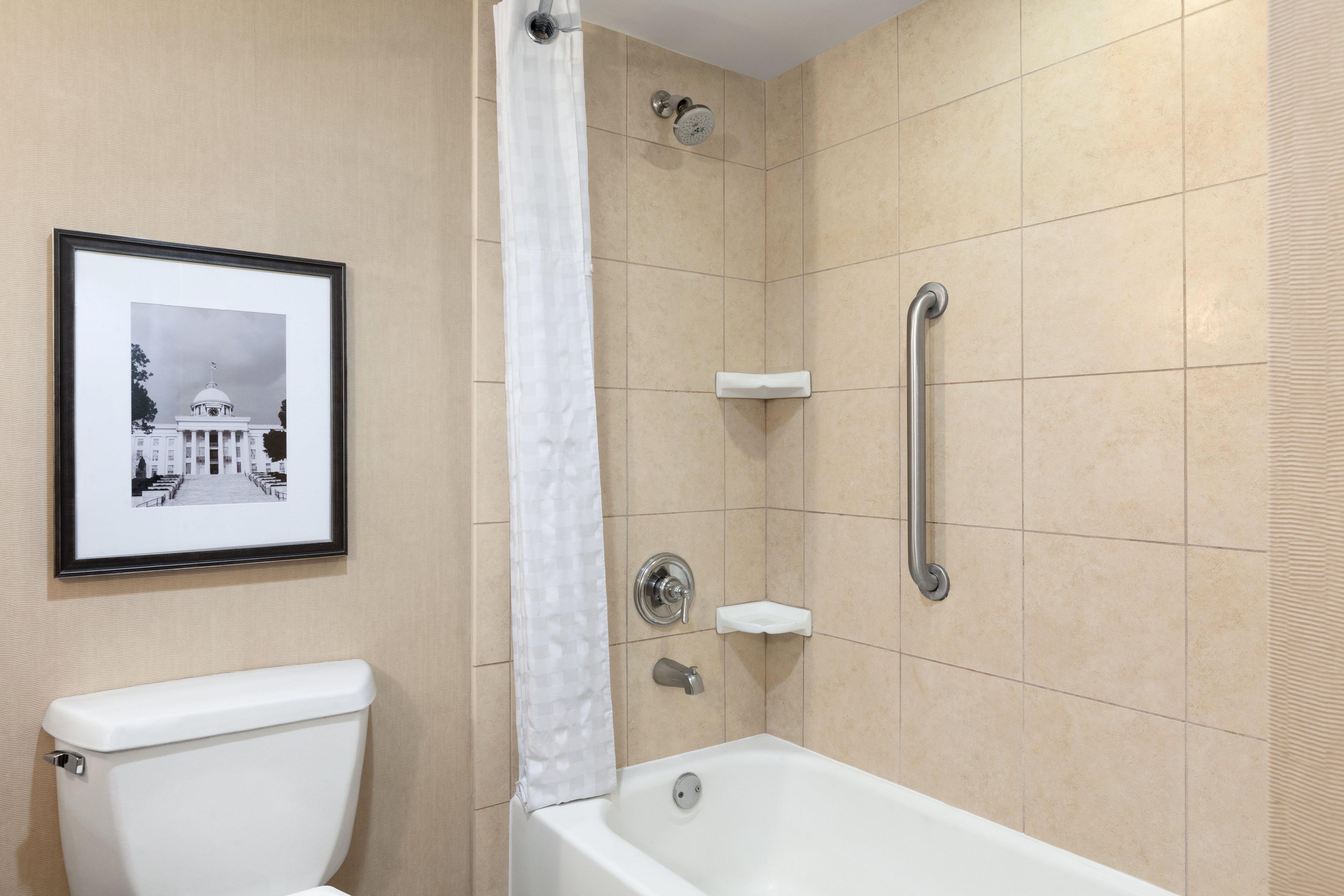 A bathroom with a toilet, a shower with a grab bar, and a framed picture on the wall.