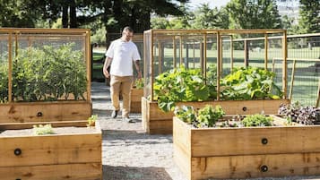 Guests can enjoy a tranquil outdoor garden with raised beds featuring a variety of leafy greens and herbs.