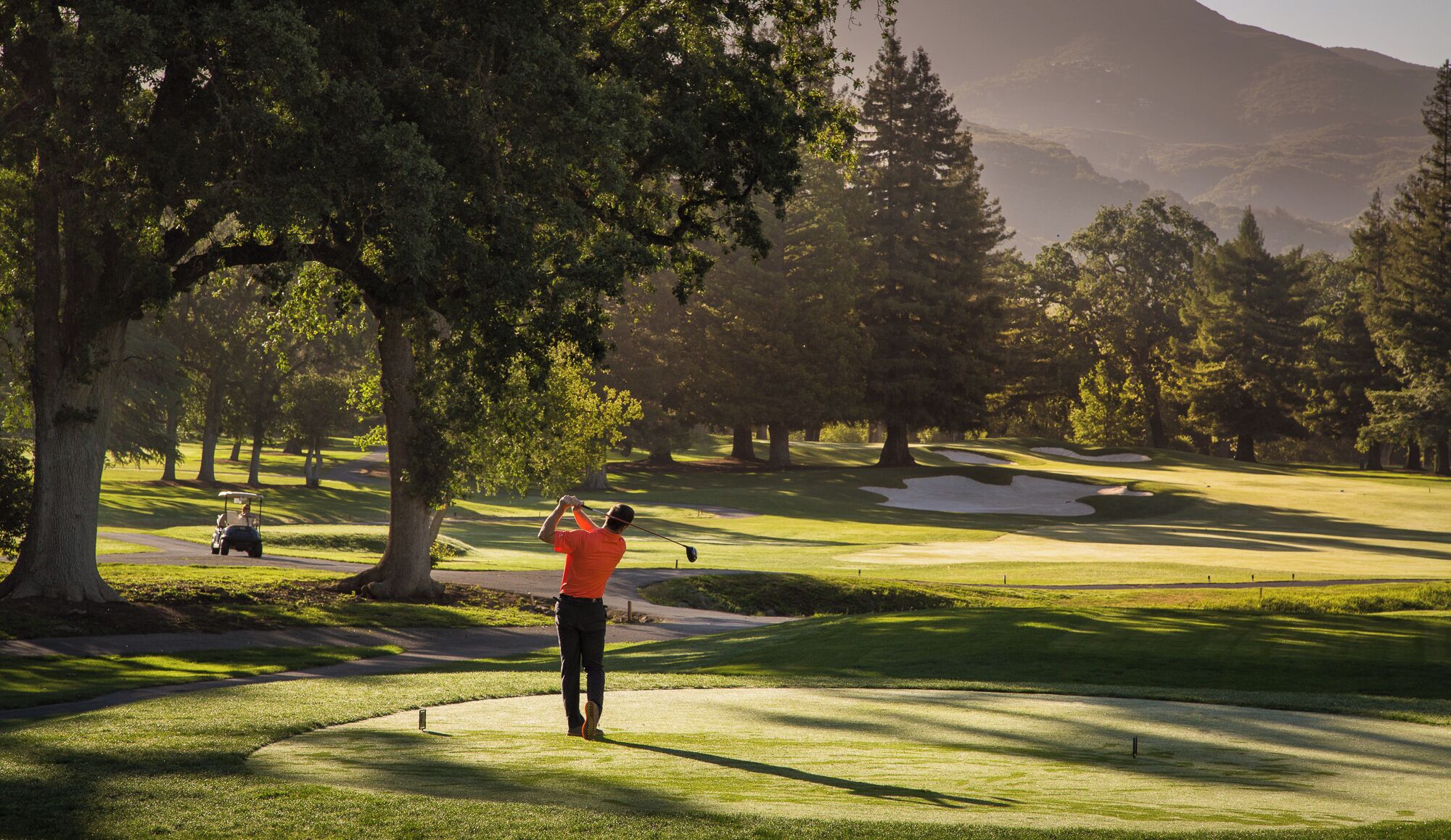 A golf course with a golfer taking a shot, surrounded by trees and a mountain in the background.