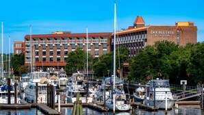A marina with various boats docked, a DoubleTree by Hilton hotel in the background, and a clear blue sky. - DoubleTree by Hilton New Bern Riverfront (New Bern)