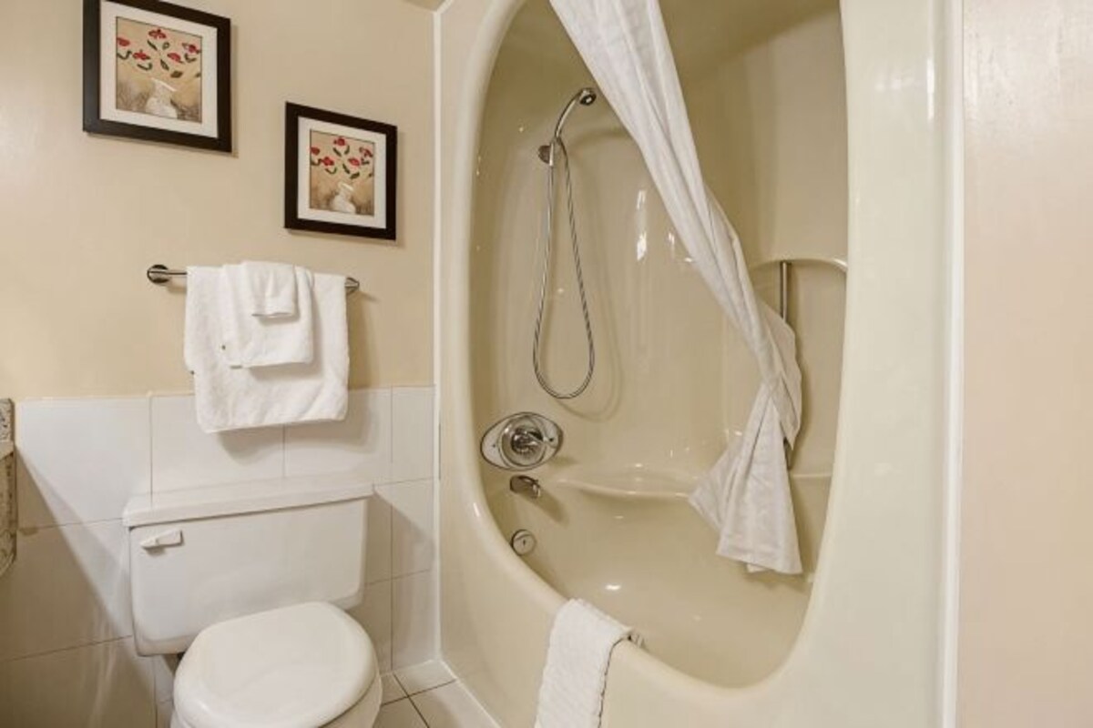 A bathroom with a toilet, bathtub, and two framed pictures on the wall.