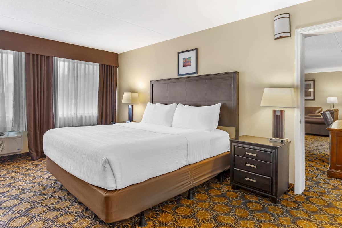 A hotel room with a large bed, two bedside tables with lamps, a headboard, and a patterned carpet.