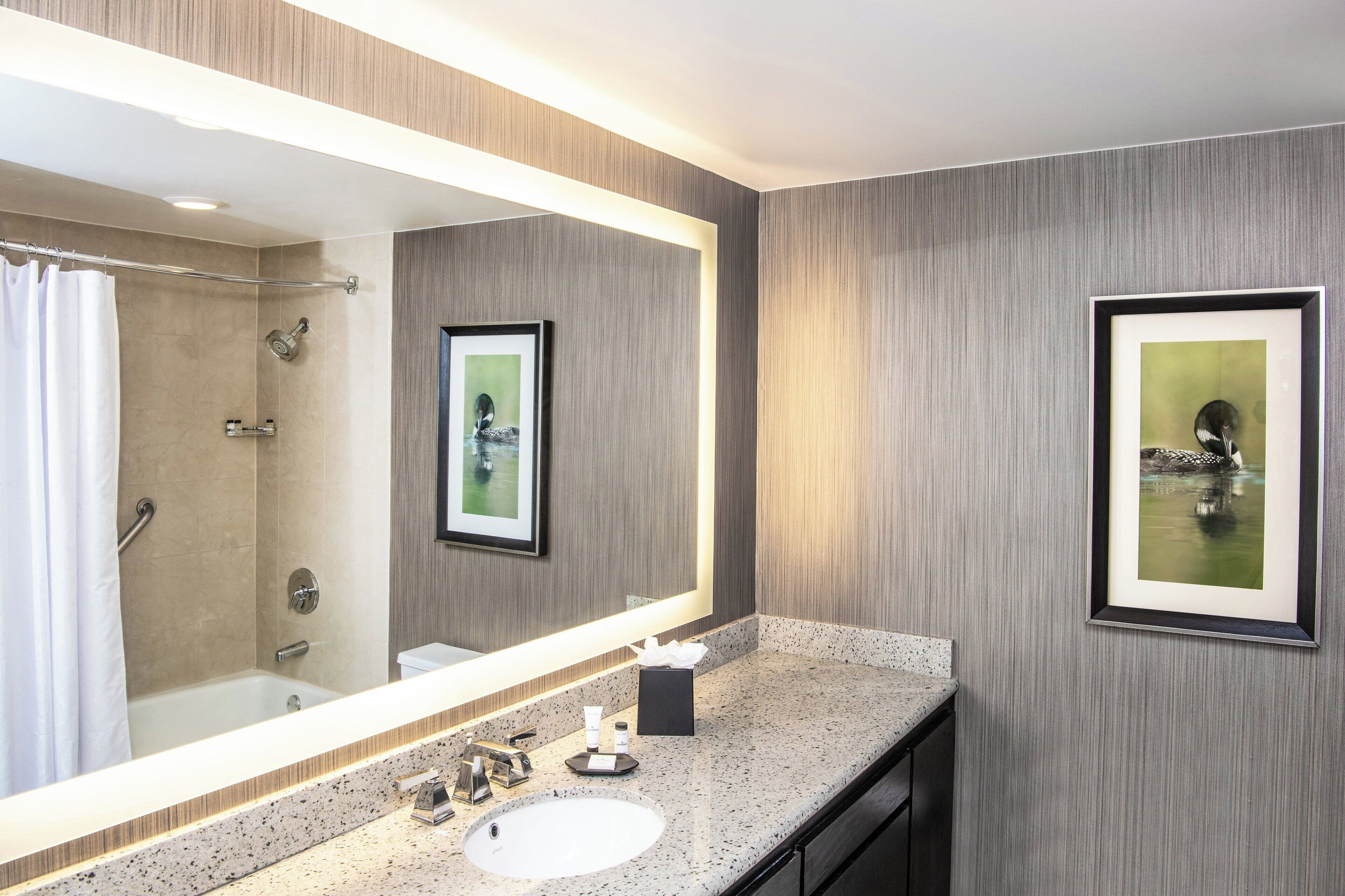 Photo - Sheraton Minneapolis West Hotel