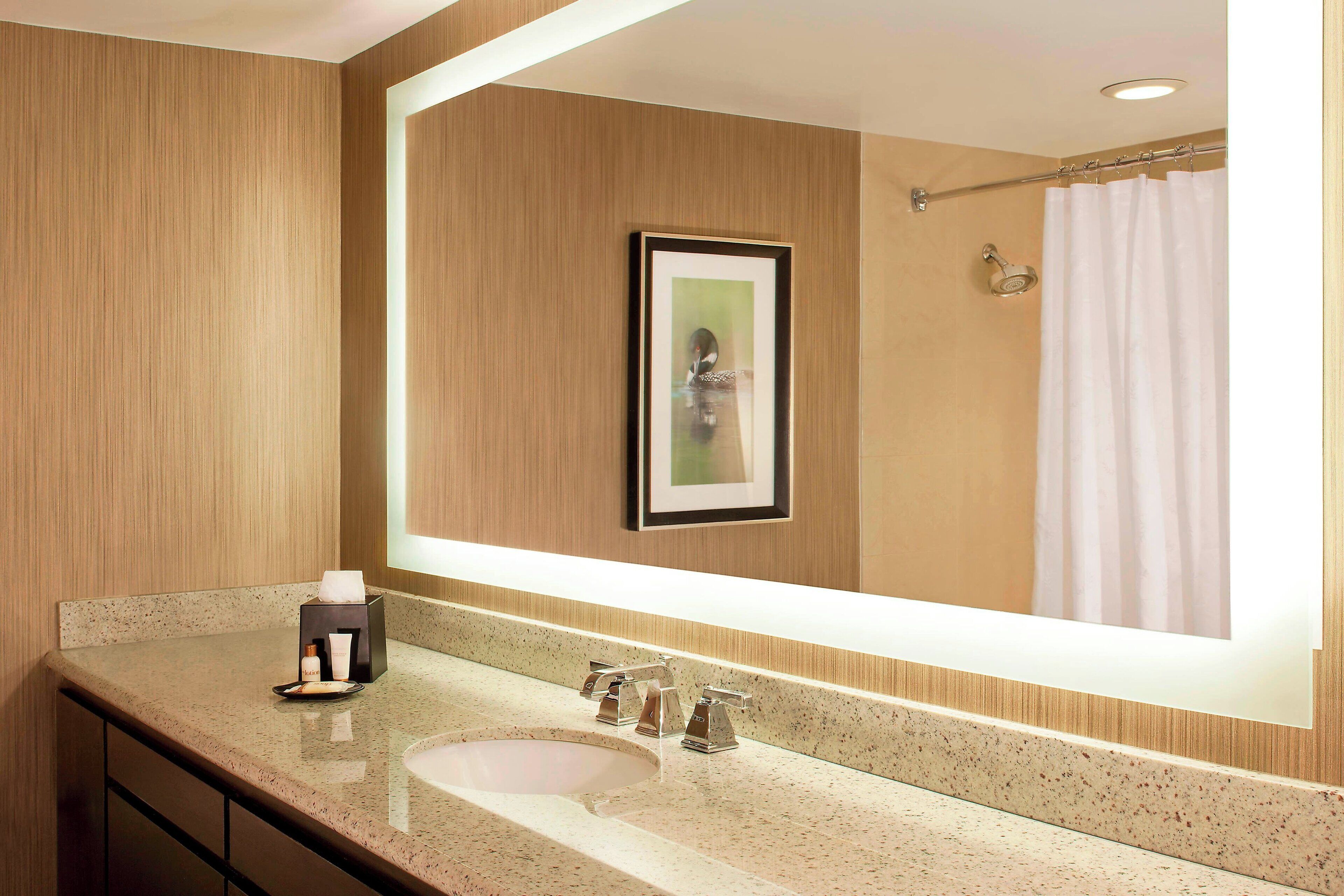 Photo - Sheraton Minneapolis West Hotel