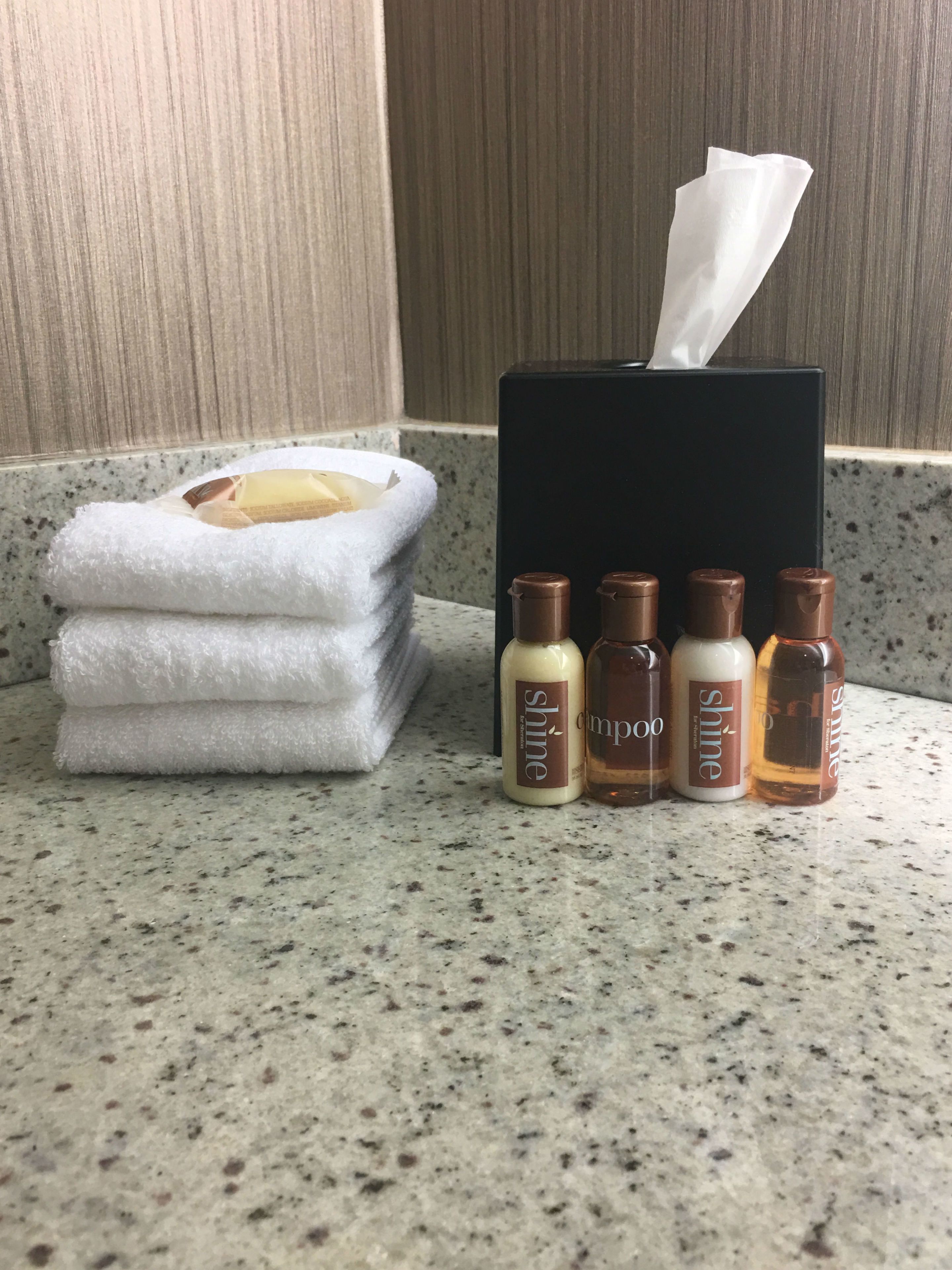 combined shower/bathtub, free toiletries, hair dryer, towels