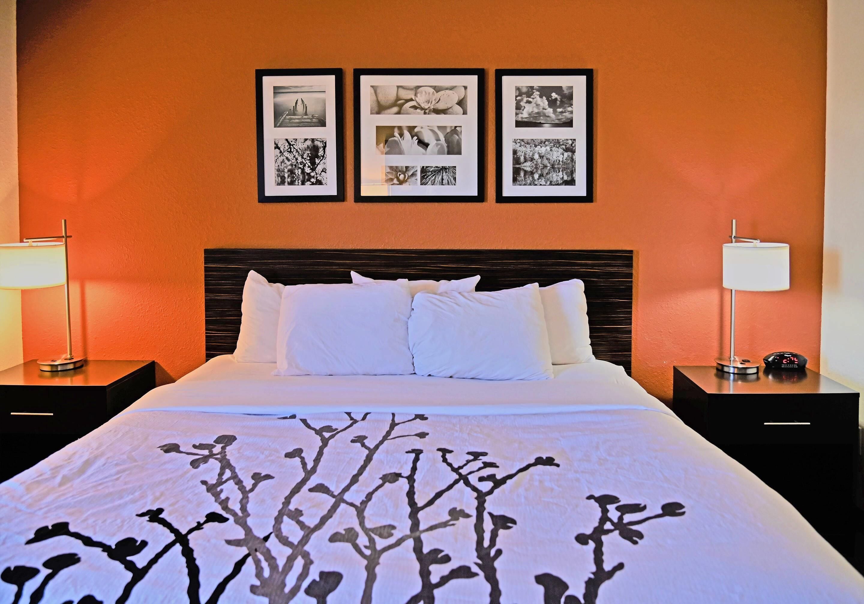 Quarto, 1 cama Queen, acessível, para não fumantes | Cofres nos quartos, quartos à prova de som