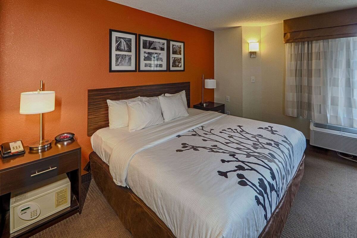 Habitación de hotel con cama, mesitas de noche, lámpara, reloj y cuadros en la pared.