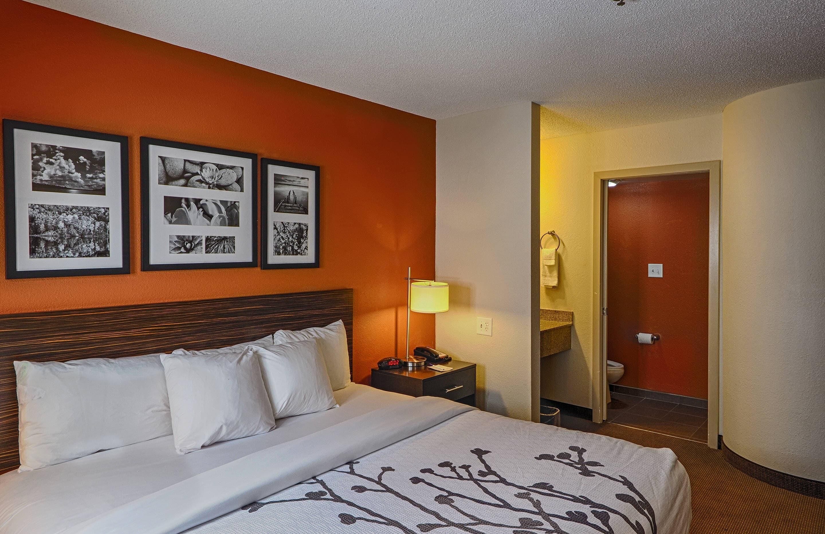 standard room, 1 king bed, non smoking | 1 bedroom, in-room safe, soundproofing, iron/ironing board