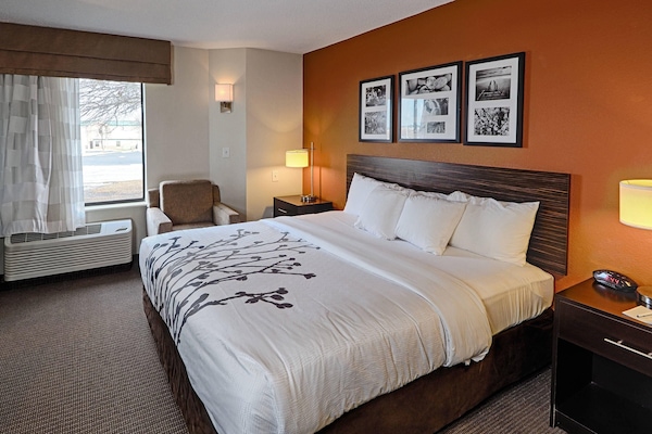 Rom – standard, 1 kingsize-seng, ikke-røyk | Safe på rommet, lydisolert, strykejern/-brett og wi-fi (inkludert)