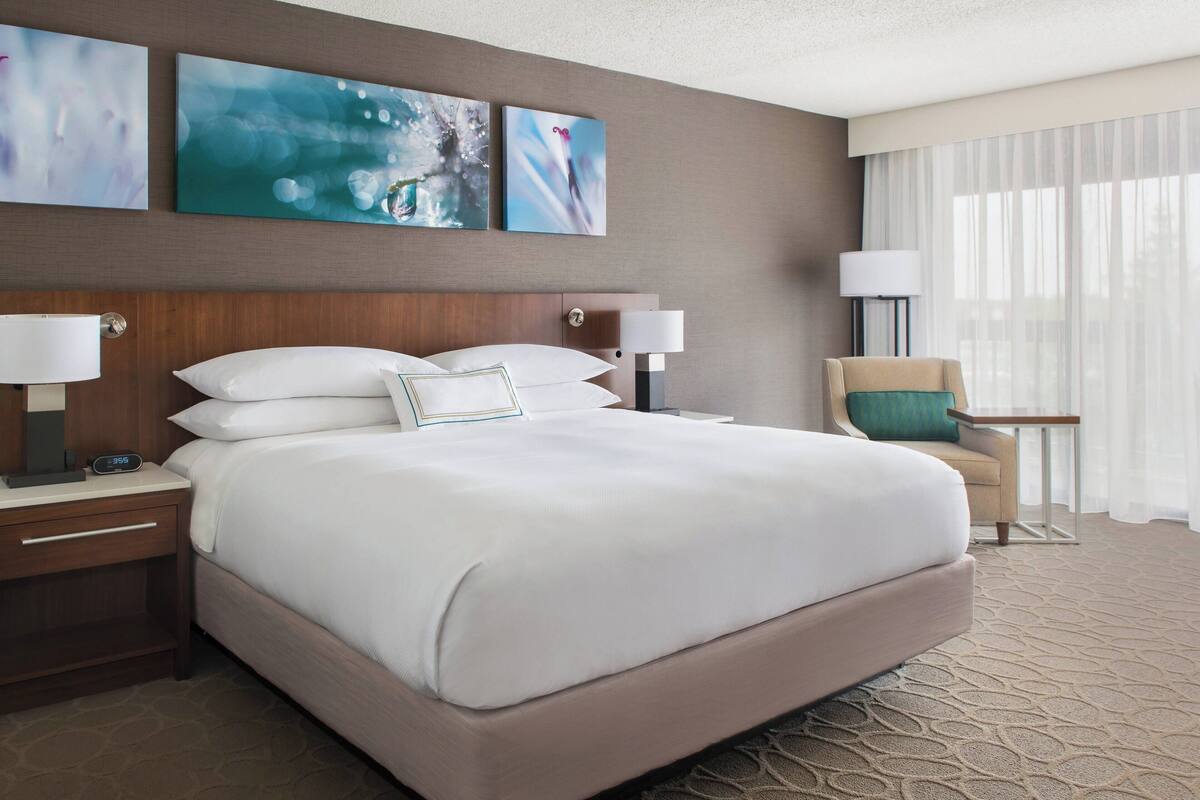 Room, 1 King Bed | Premium bedding, down comforters, desk, blackout drapes