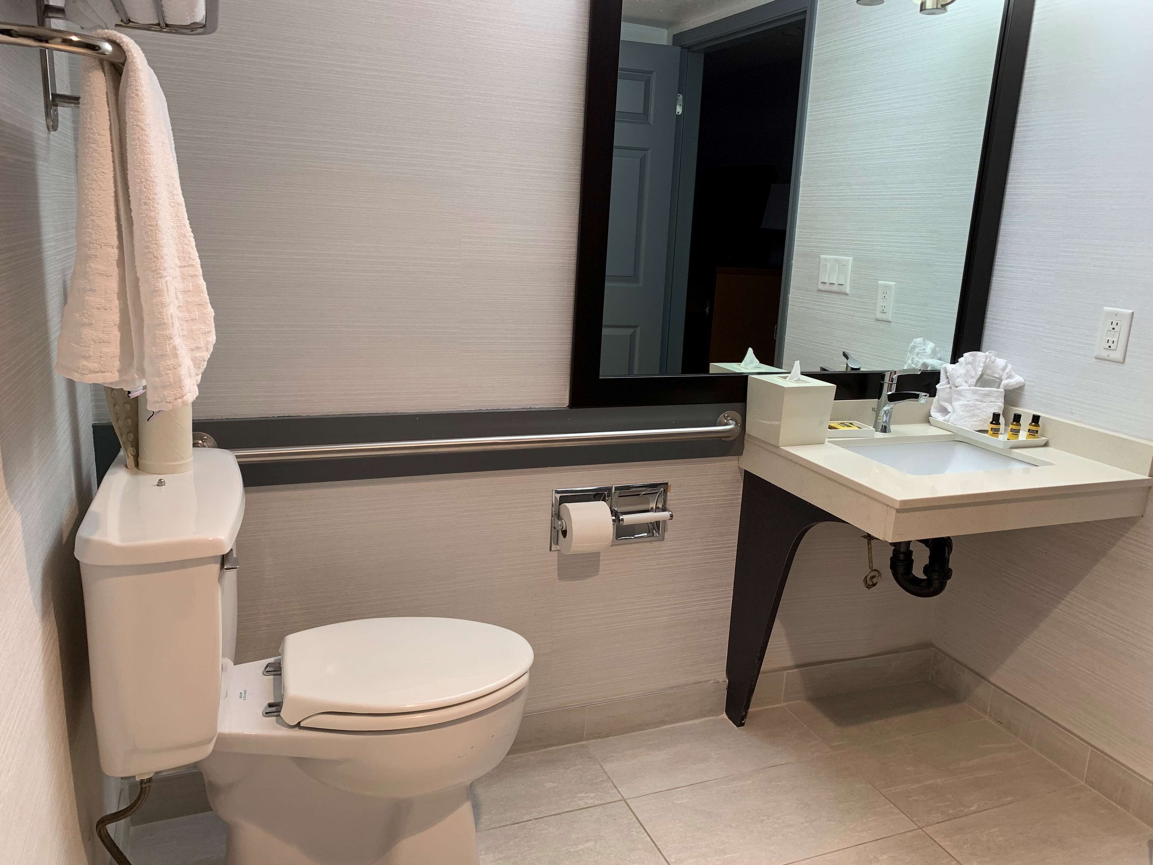 Une salle de bain équipée d’un WC, d’un lavabo, d’un miroir et d’un porte-serviettes.