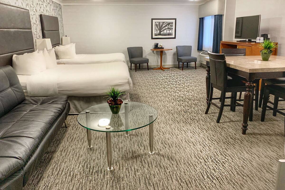 A hotel room with a bed, a glass coffee table with a plant, a sofa, a desk with a chair, and a TV.