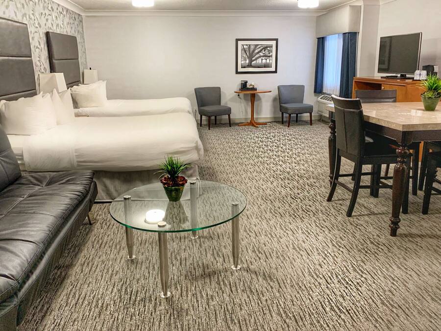A hotel room with a bed, a glass coffee table with a plant, a sofa, a desk with a chair, and a TV.