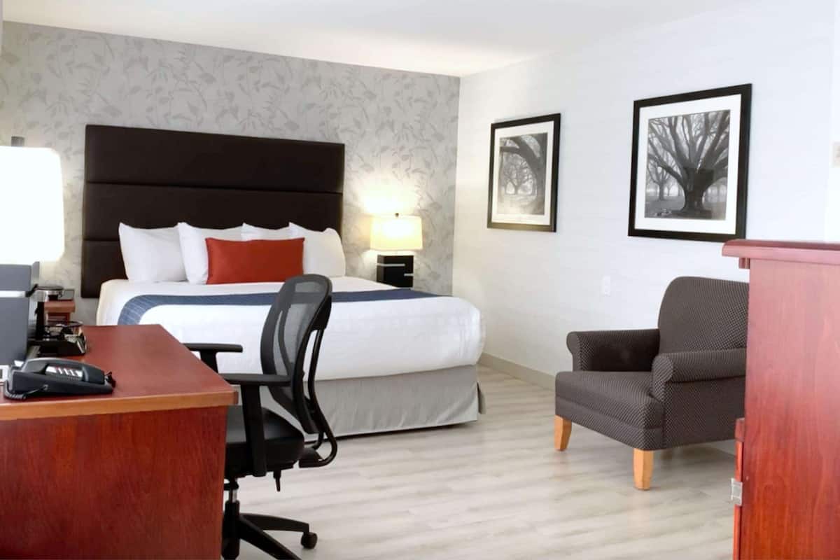 A hotel room with a bed, desk, chair, and two framed pictures on the wall.