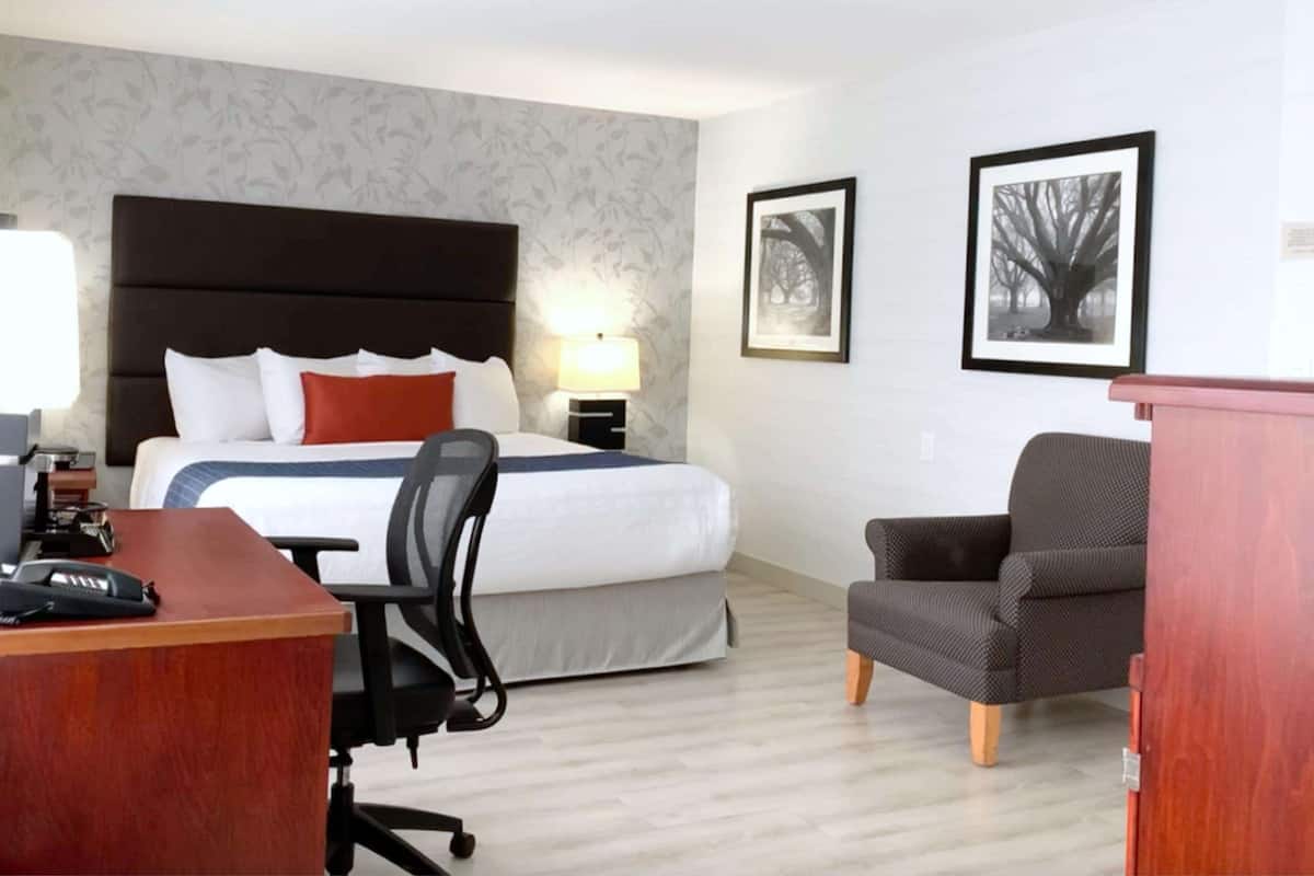 in-room safe, blackout curtains, iron/ironing board, free wifi