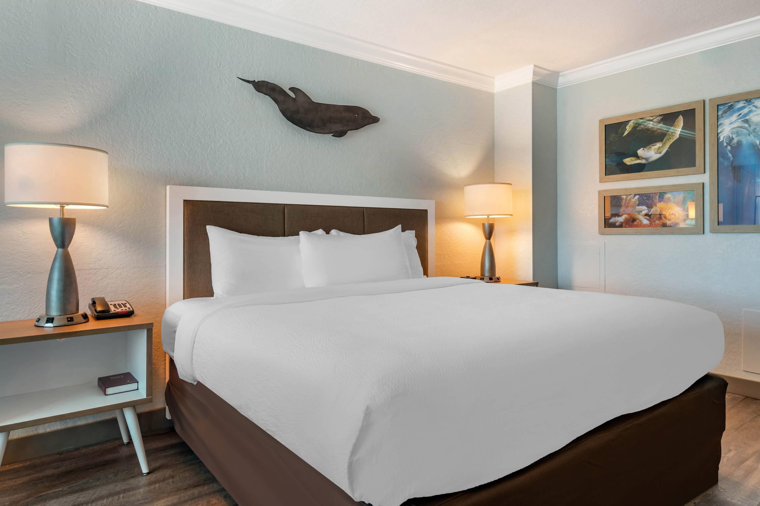 Desk, blackout drapes, iron/ironing board, free cribs/infant beds