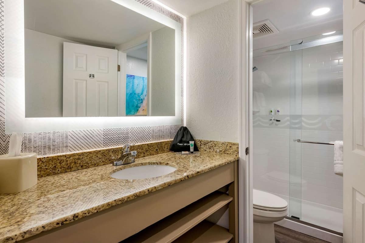 Une salle de bain dotée d’un comptoir en granit, d’un lavabo, d’un miroir, d’un porte-serviettes et d’une douche à parois de verre.
