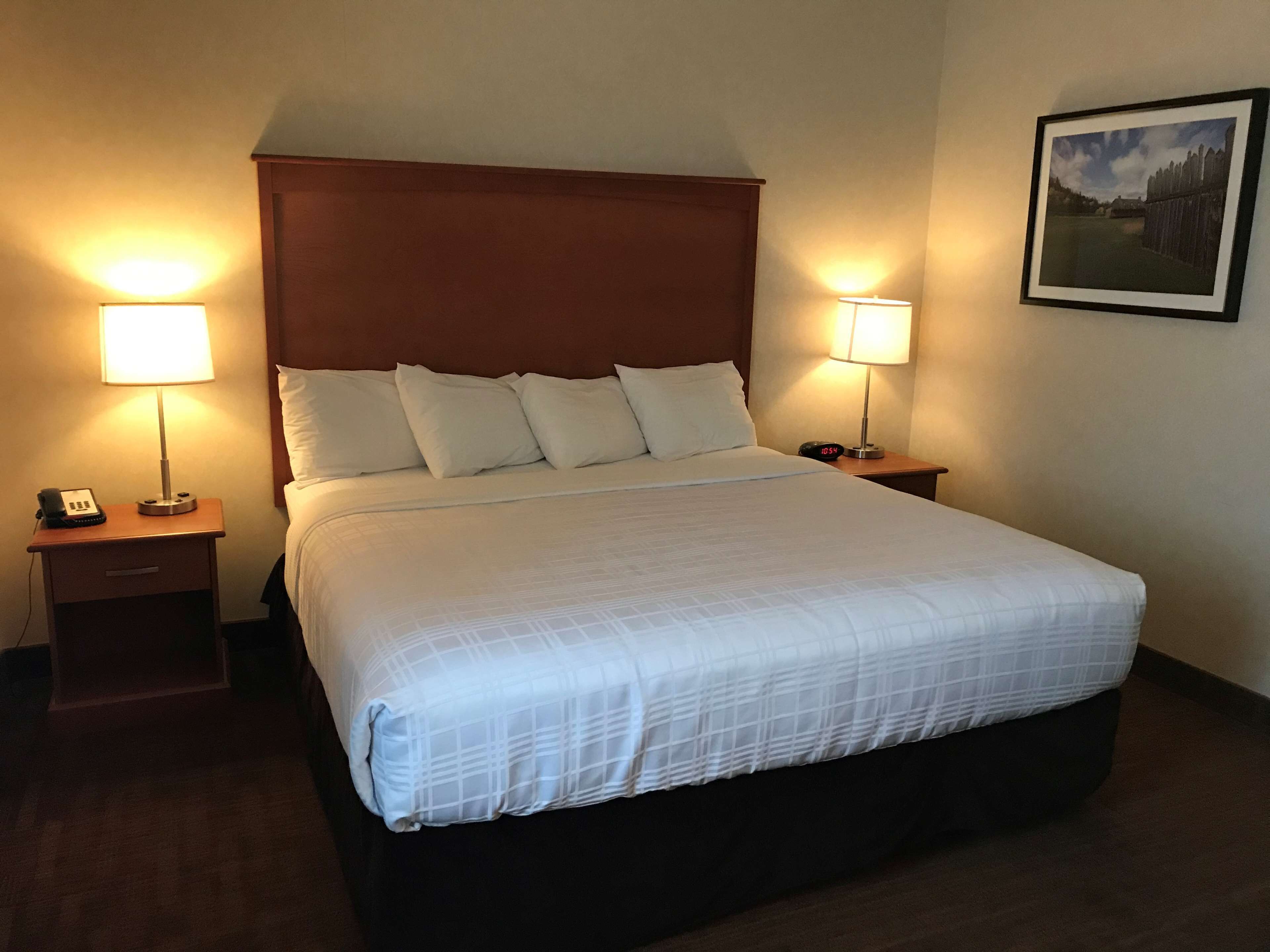 A hotel room with a large bed, two bedside tables with lamps, a telephone, and a framed picture on the wall.