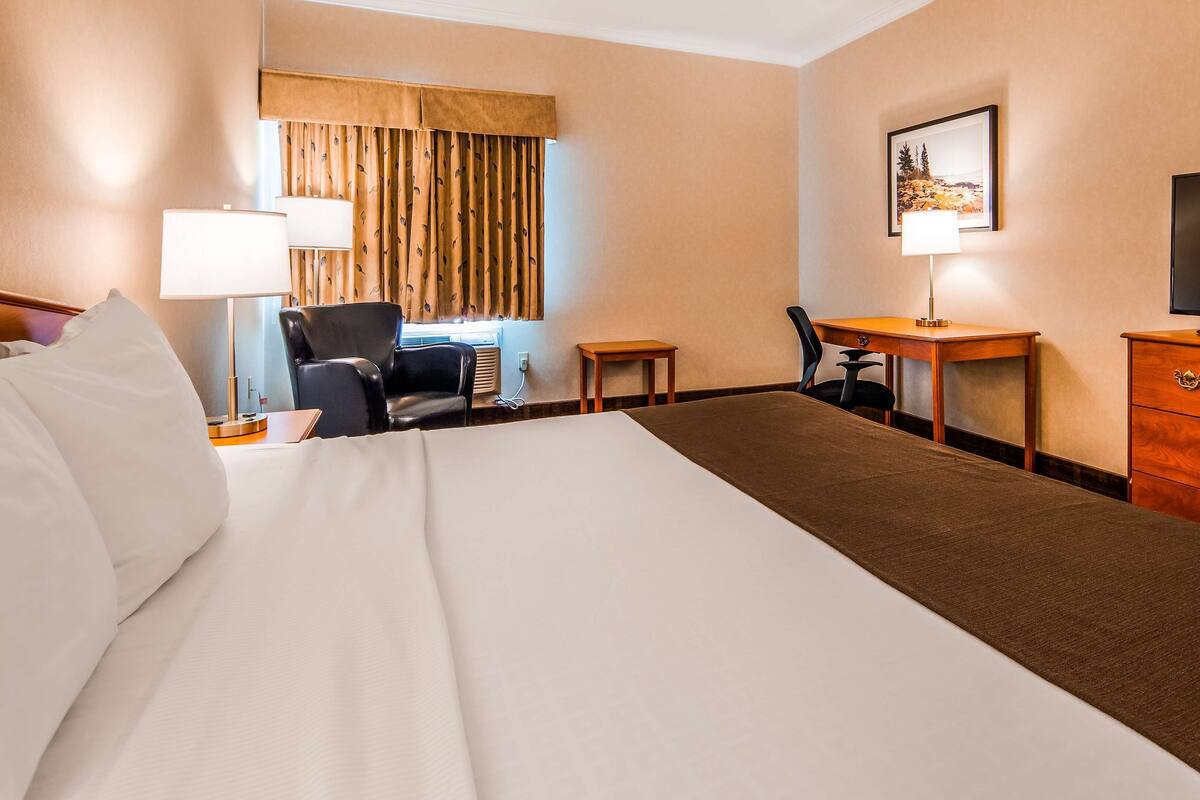 Business Room, 1 Katil Raja (King), Non Smoking, Refrigerator & Microwave | Peralatan tempat tidur premium, gebar bulu kapas, tilam berlapik 