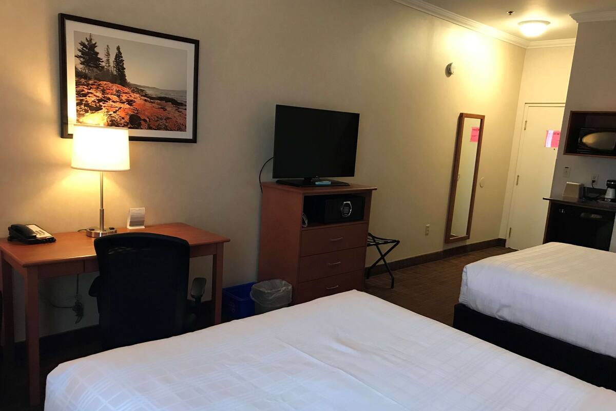 Business Room, 2 Katil Ratu (Queen), Non Smoking, Refrigerator & Microwave | Peralatan tempat tidur premium, gebar bulu kapas, tilam berlapik 