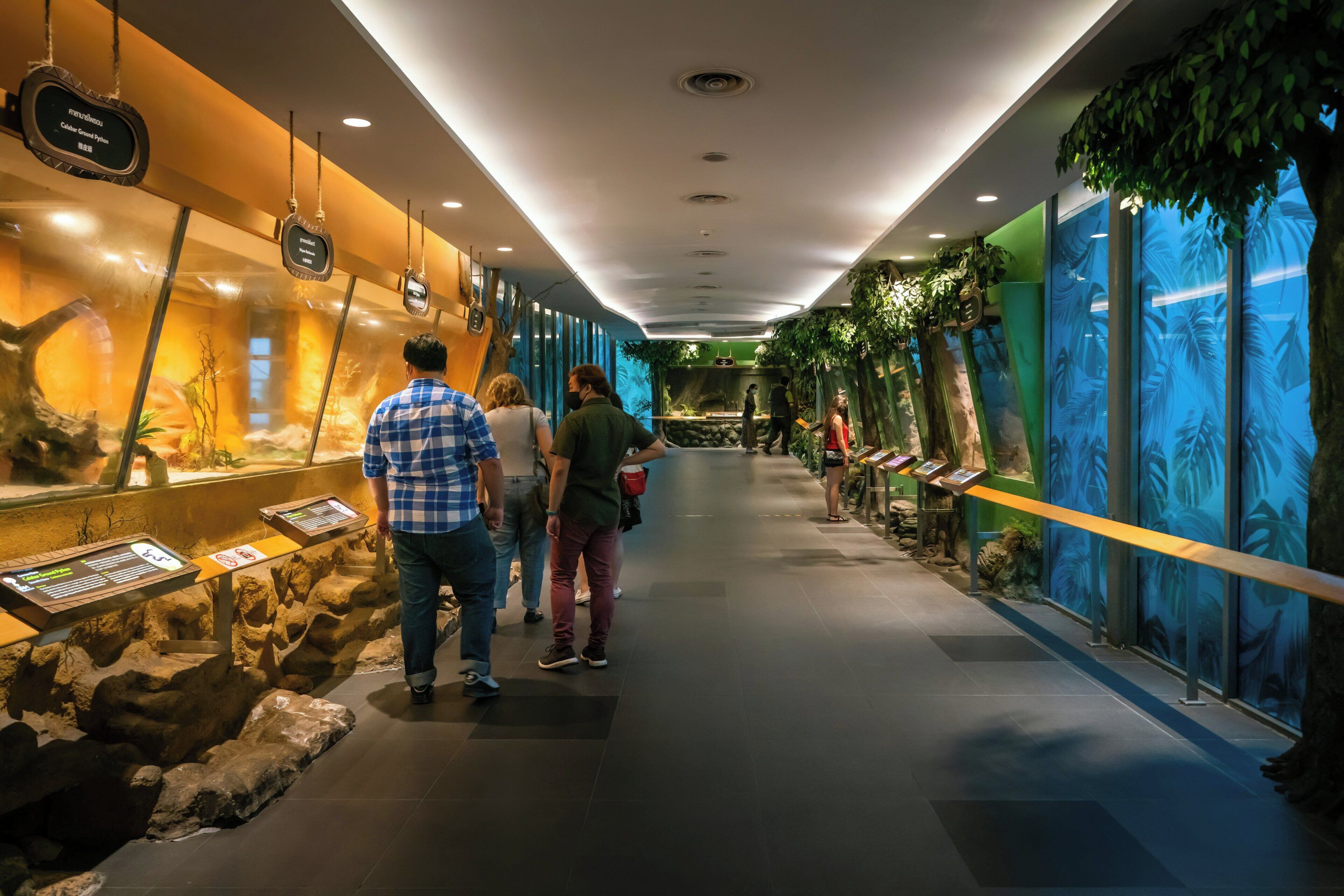 Passadís amb exposicions a ambdós costats, incloent una mostra de dinosaure i decoracions de plantes tropicals.