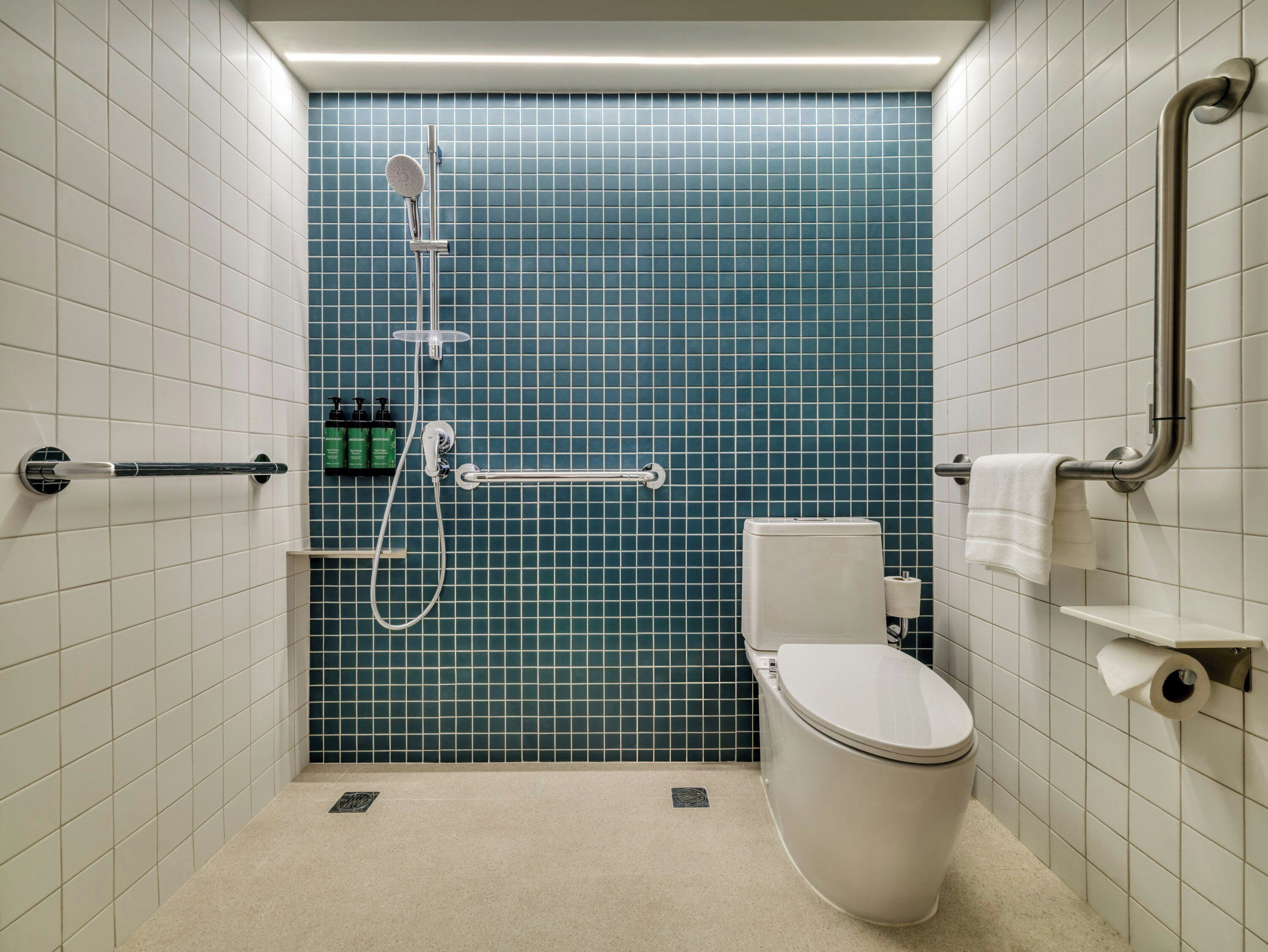 A bathroom with a white toilet, a shower with a handheld showerhead, and a grab bar on the right side.