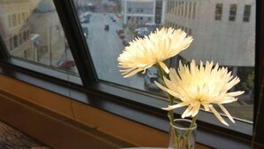 A table with a vase of flowers and a candle, viewed through a window overlooking a city street. - Radisson Blu Fargo (Fargo)
