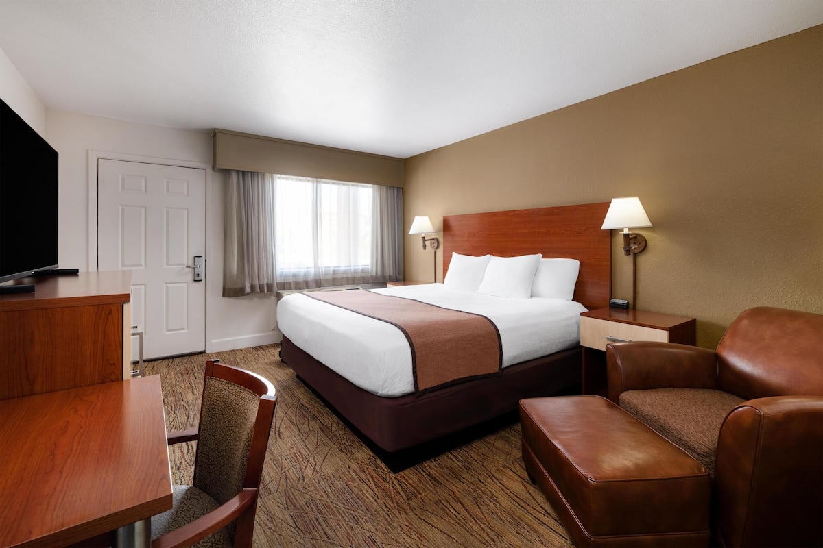 A hotel room with a bed, a desk, a chair, a sofa, a TV, and a window with curtains.