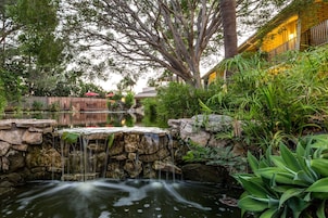 Um jardim tranquilo com uma pequena cascata, vegetação exuberante e uma cerca de madeira.
