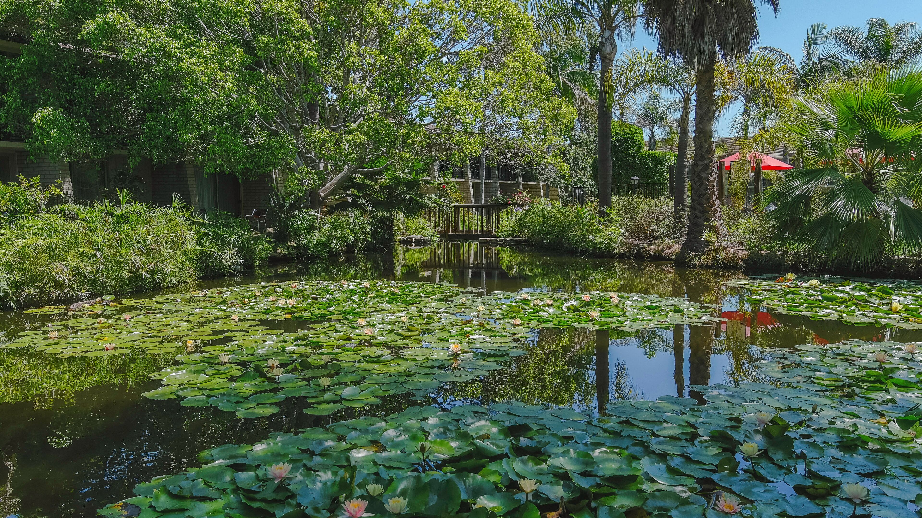 Jardín