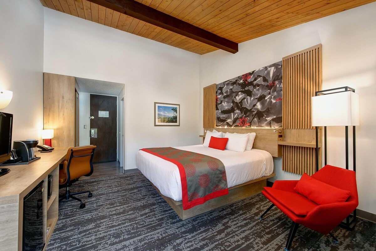 Room, 1 King Bed, Non Smoking | Pillowtop beds, in-room safe, desk, blackout drapes