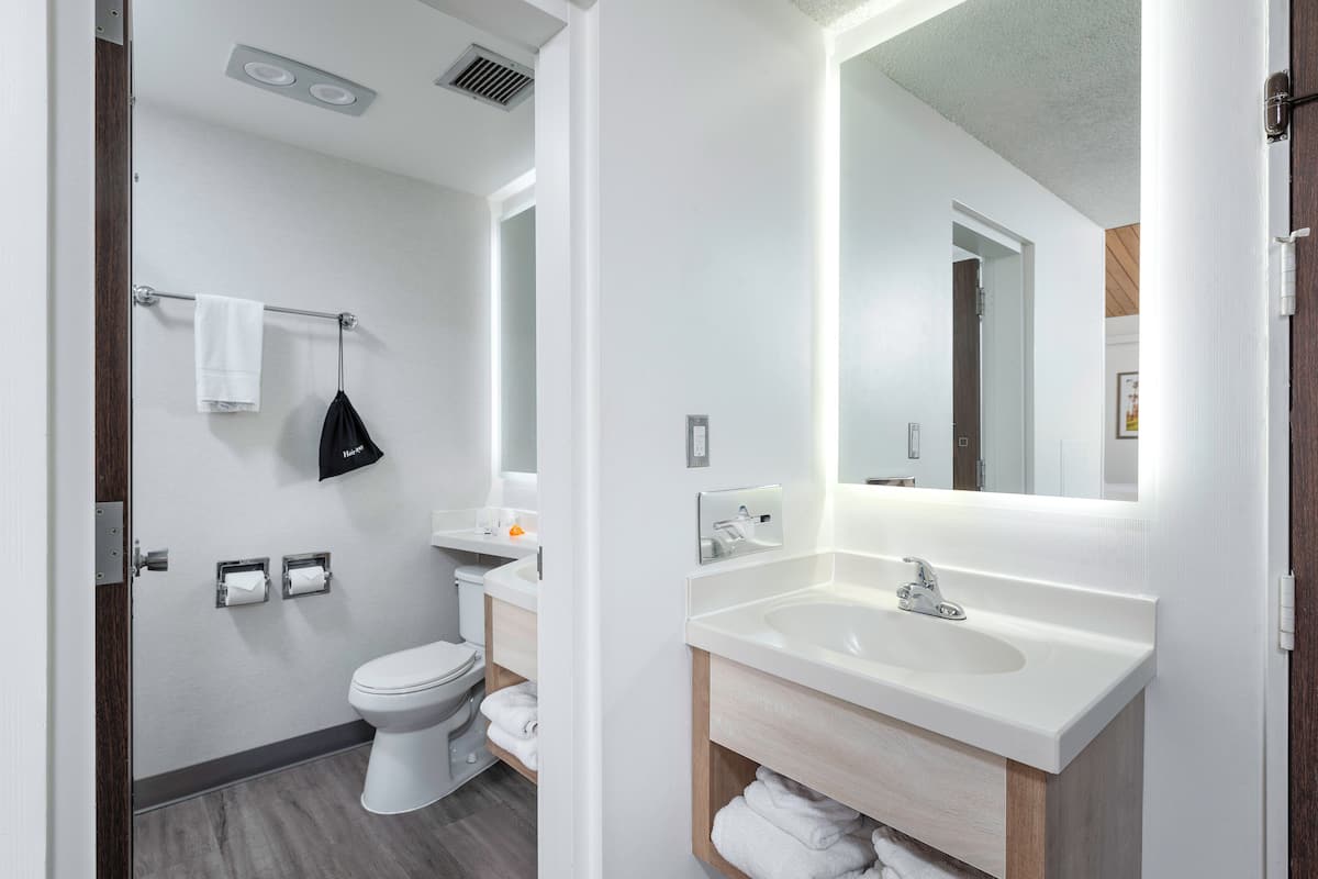 combined shower/bathtub, hair dryer, towels