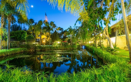 A serene pond surrounded by lush greenery and palm trees, with a building in the background.