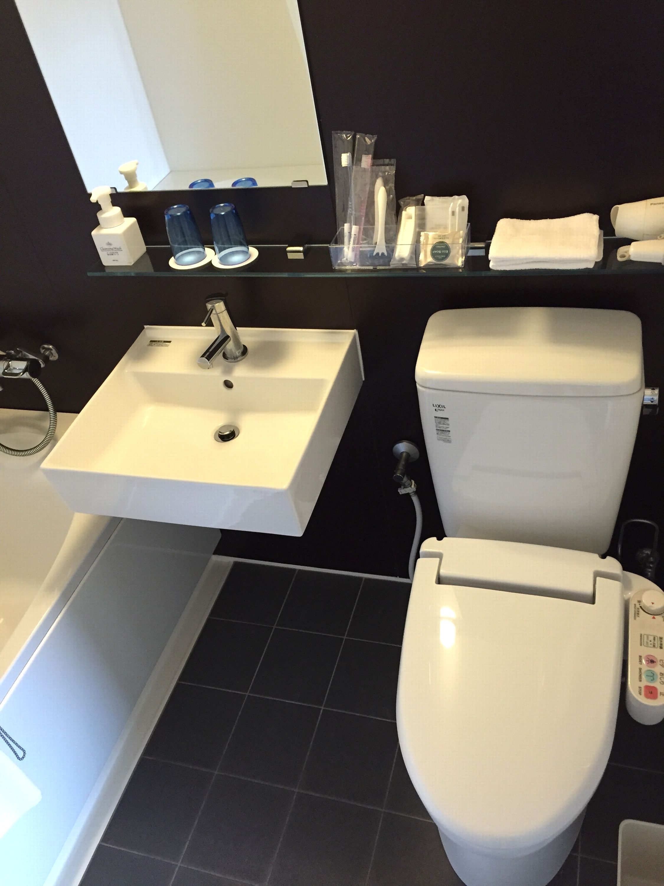 combined shower/bathtub, free toiletries, hair dryer, slippers