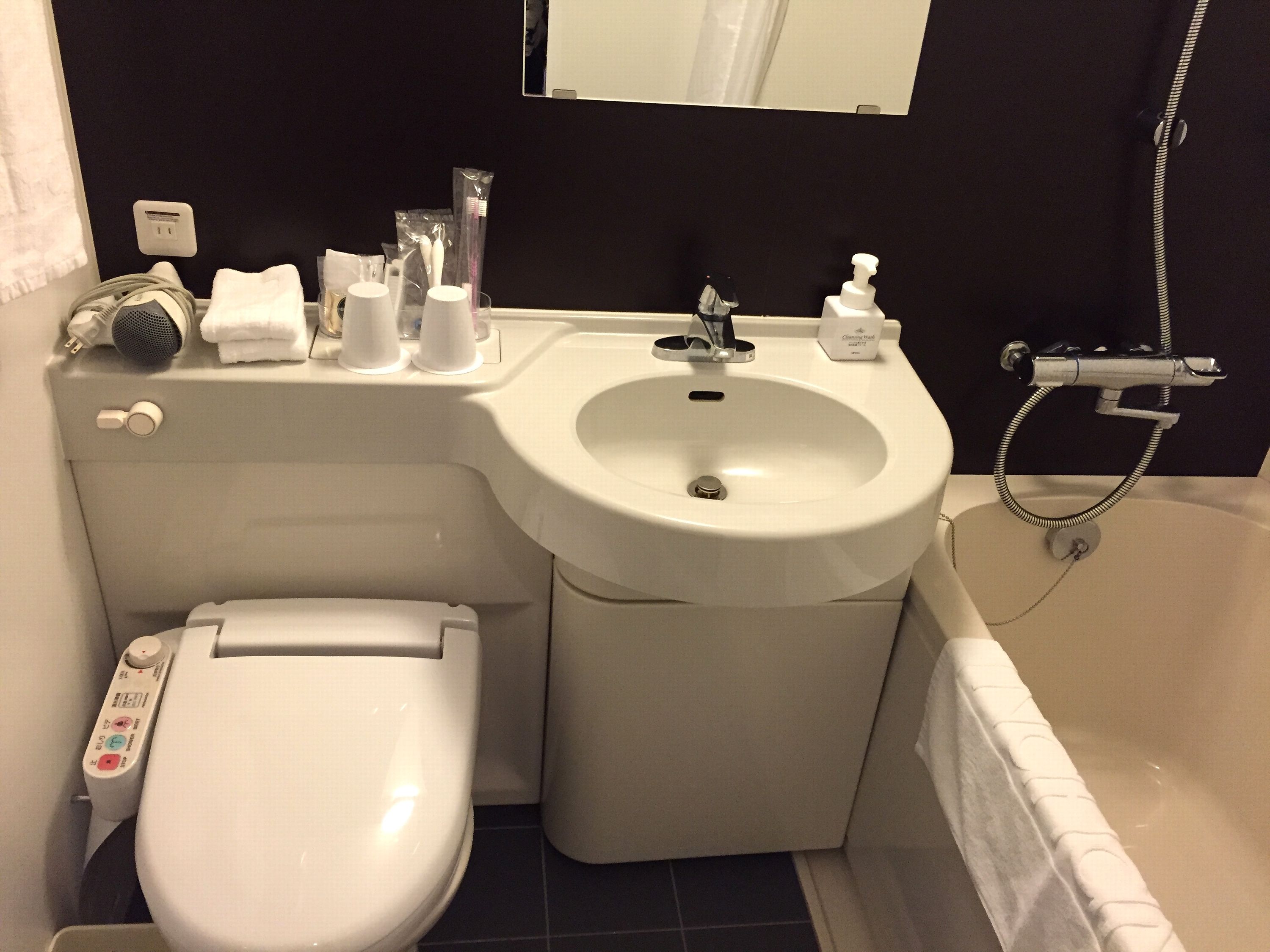 combined shower/bathtub, free toiletries, hair dryer, slippers