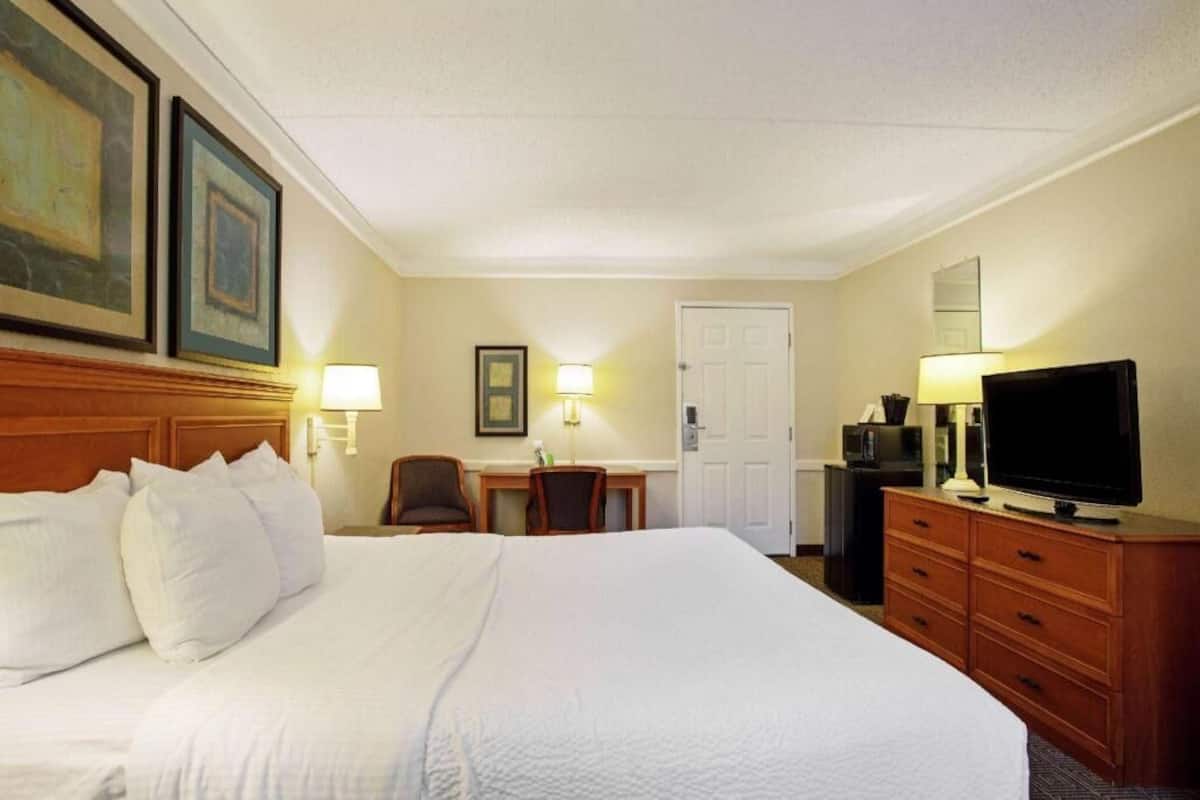 A hotel room with a large bed, a desk, a television, and a door.