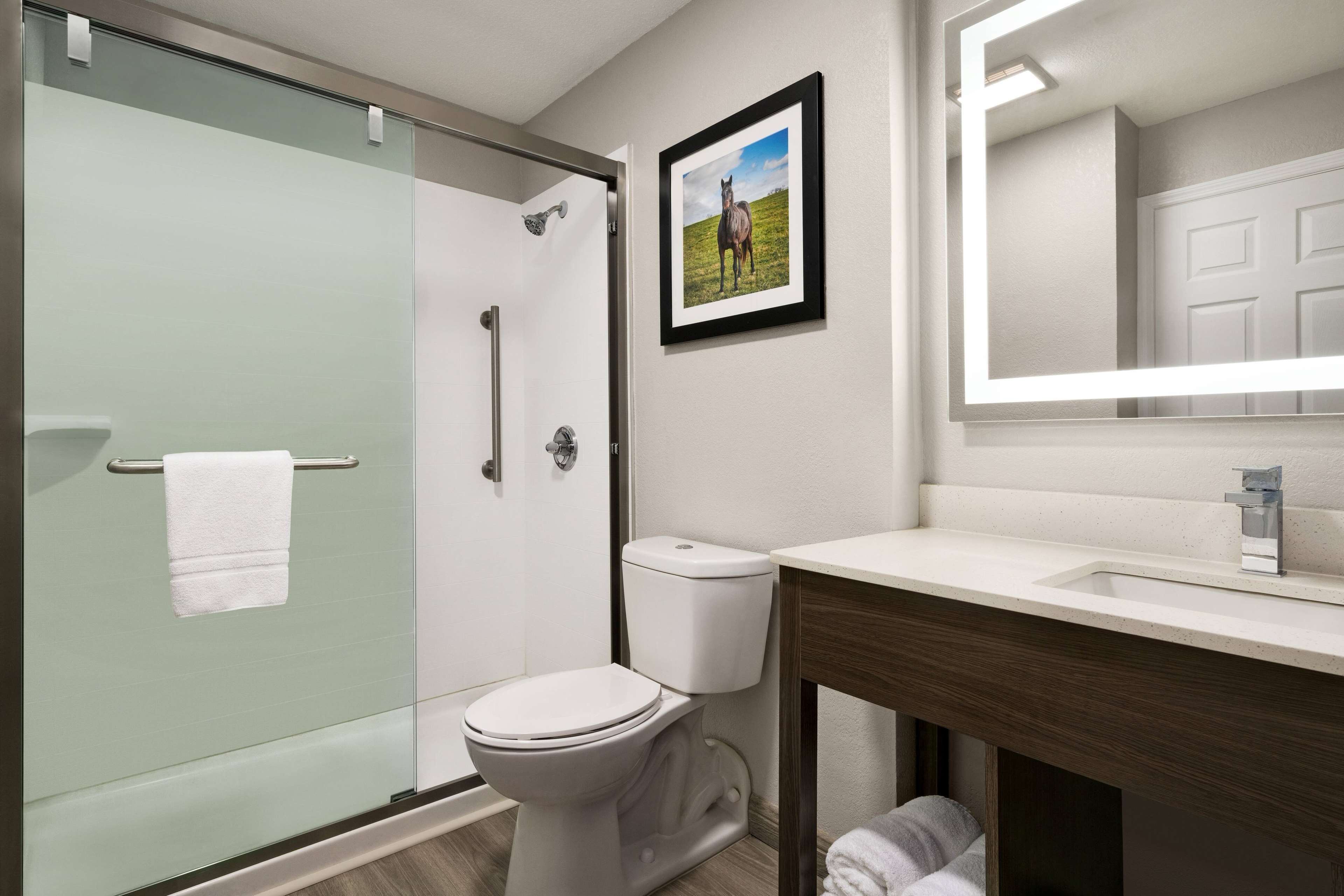A modern bathroom with a glass shower enclosure, a toilet, a sink with a mirror, and a framed picture on the wall.