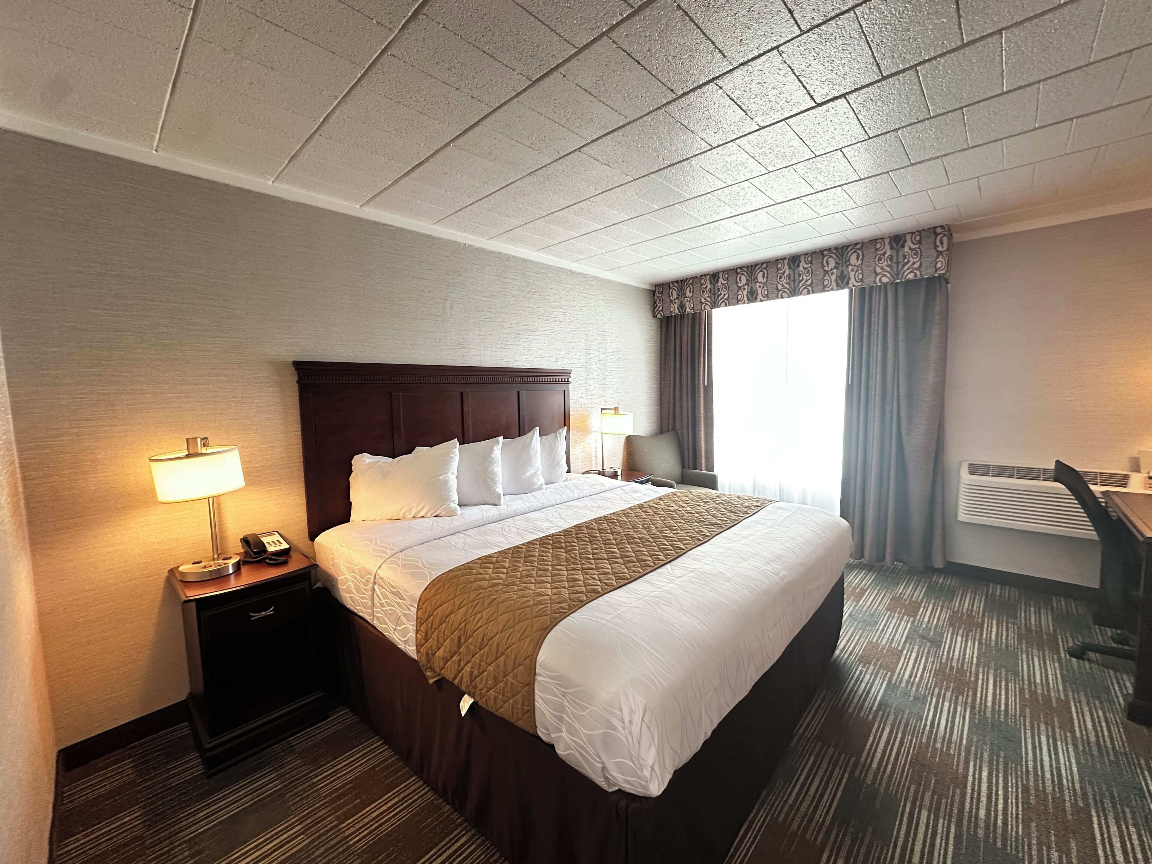 Deluxe Room, 1 King Bed, Refrigerator | Desk, laptop workspace, iron/ironing board, free WiFi