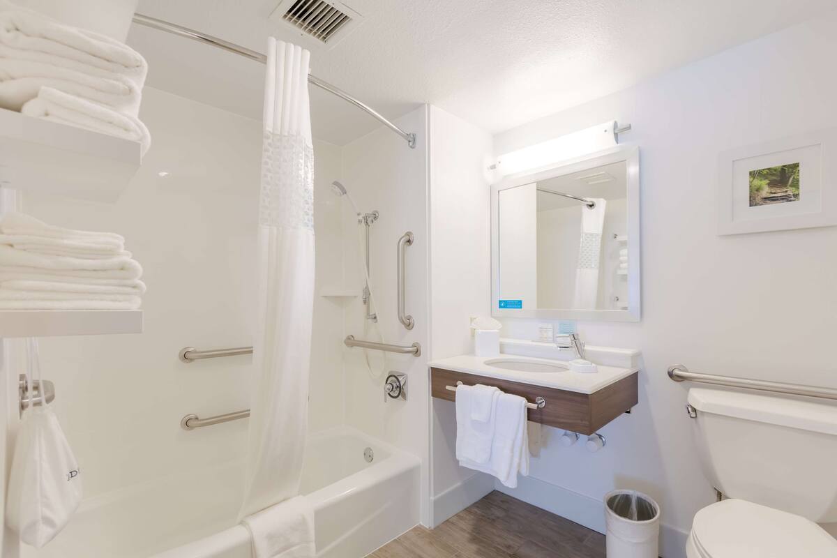 A modern bathroom with a walk-in shower, grab bars, a toilet, and a sink with a mirror.