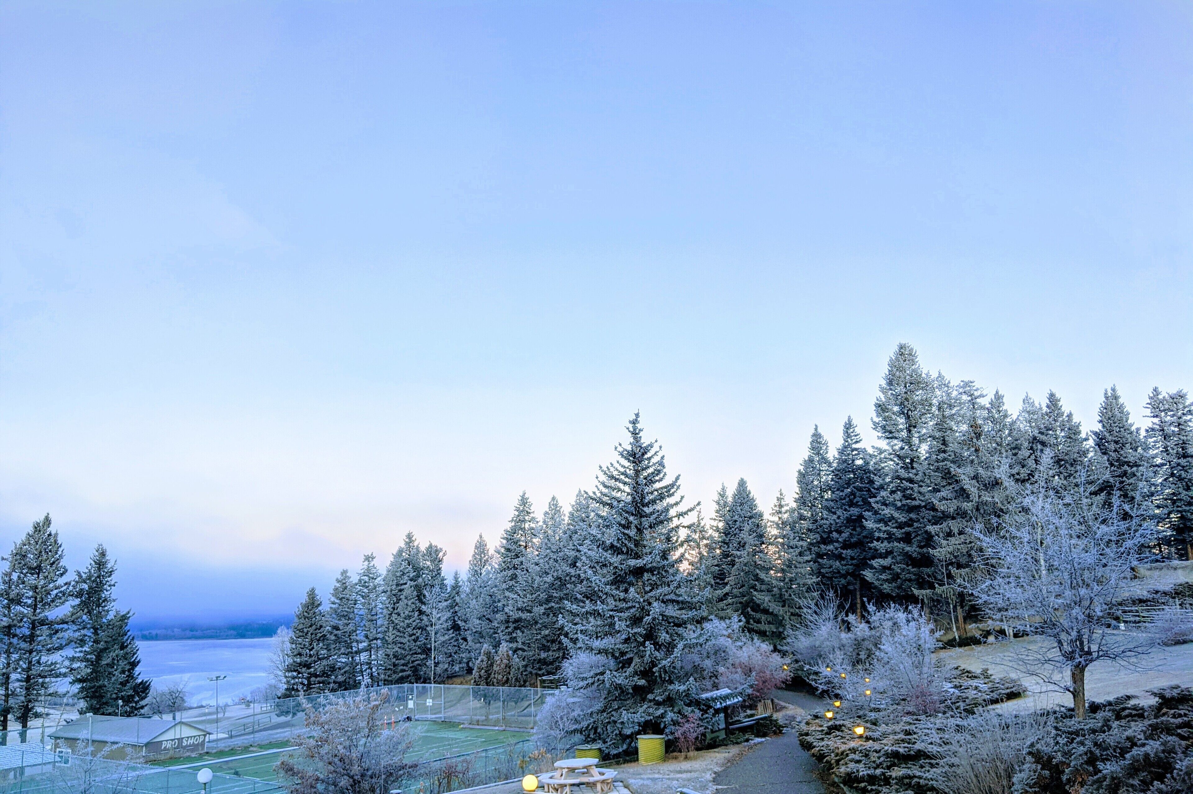 Un paysage hivernal avec des arbres couverts de neige et un terrain de sport.