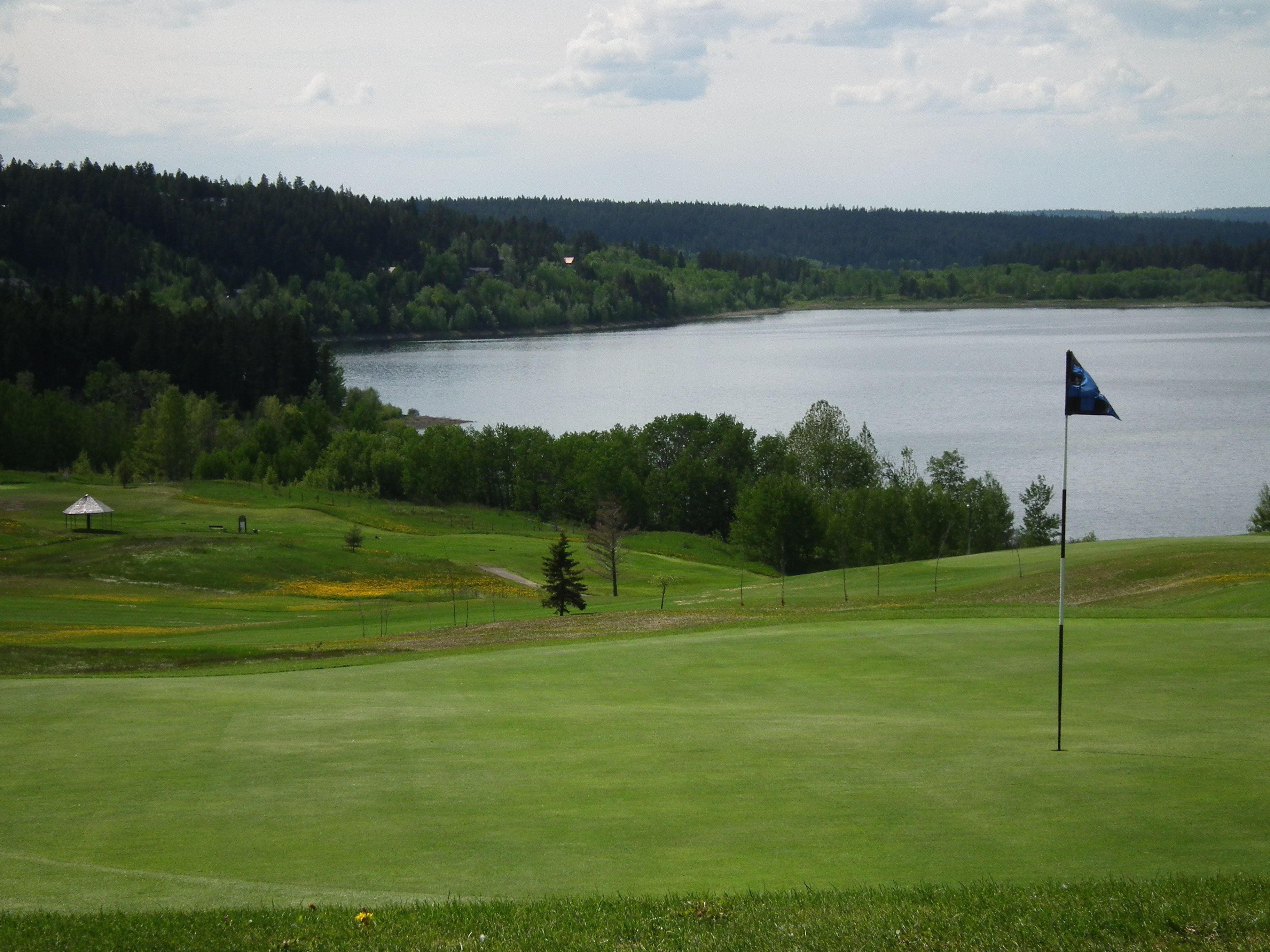 Camp de golf amb una bandera, un estany i una zona boscosa al fons.
