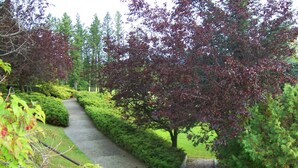 A pathway flanked by neatly trimmed hedges and trees with autumn-colored leaves. - 108 Golf Resort (108 Mile Ranch)