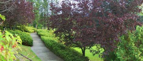 A pathway flanked by neatly trimmed hedges and trees with autumn-colored leaves.