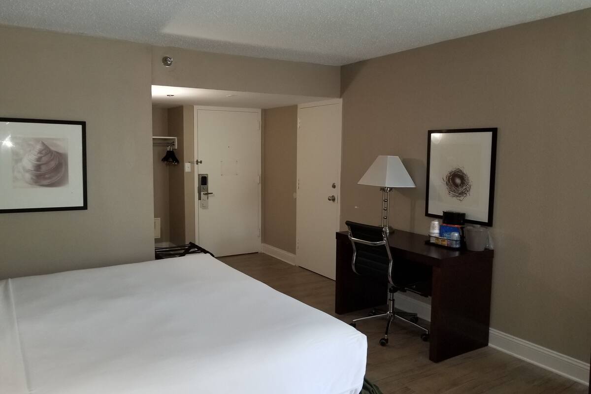 Hypo-allergenic bedding, desk, laptop workspace, blackout curtains